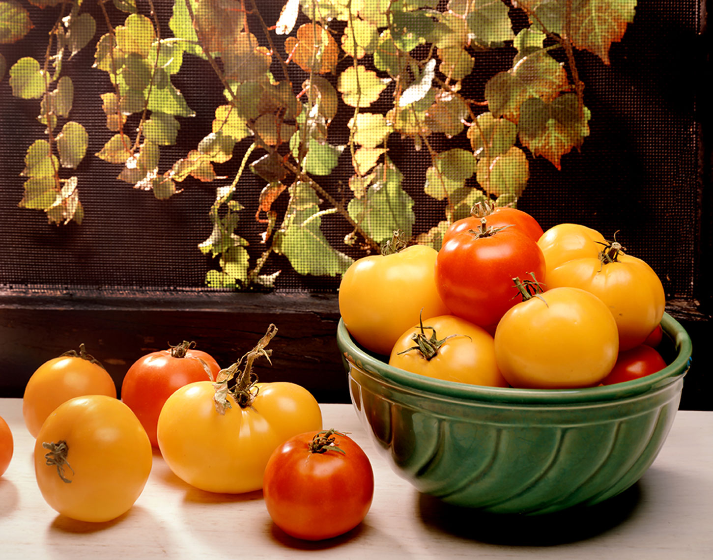 tomatoes-1